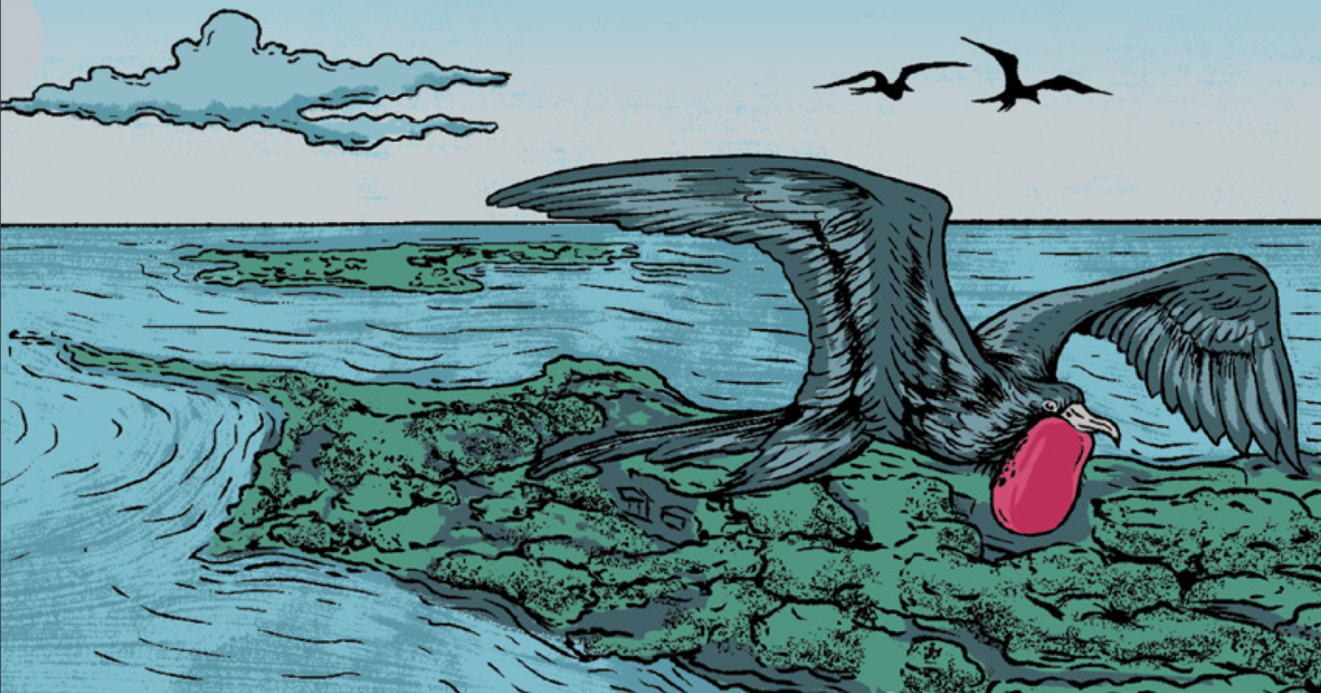 Everyday Stories of Climate Change: Eine Graphic Novel zum Klimawandel